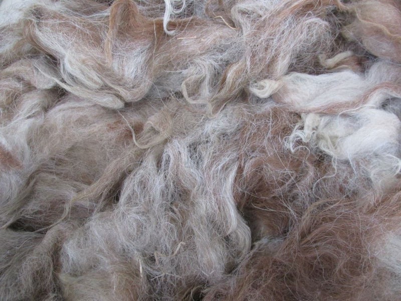 Llama Fleece #16, 1kg. Caramel, white and light grey blend. Carousel 1