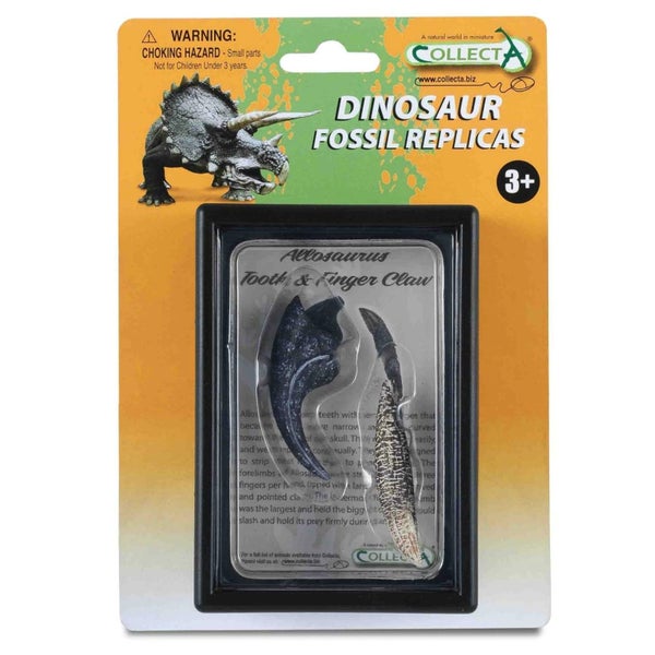 CollectA Tooth & Claw of Allosaurus Carousel 2