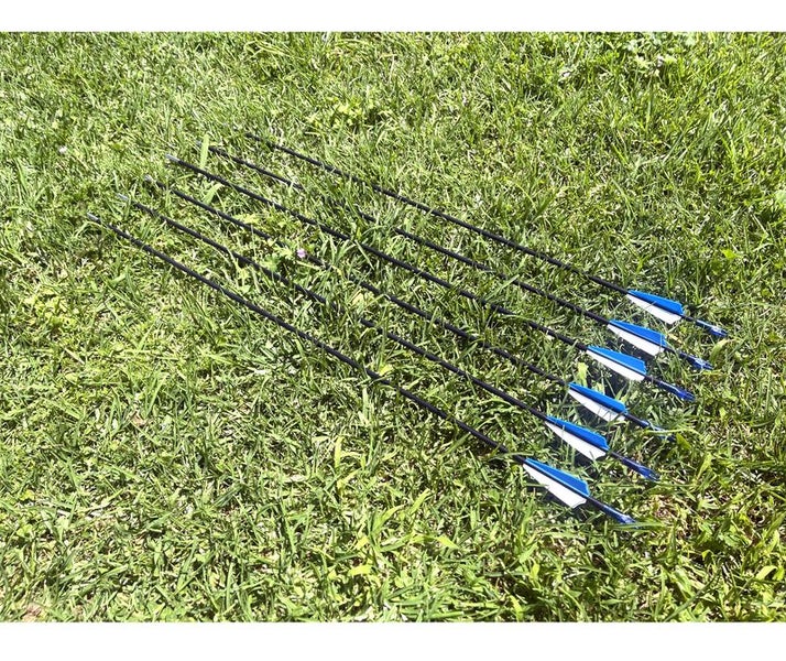 Fiberglass Arrows 12pcs 2019203 Carousel 1