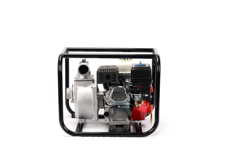 Water Pump Carousel 1