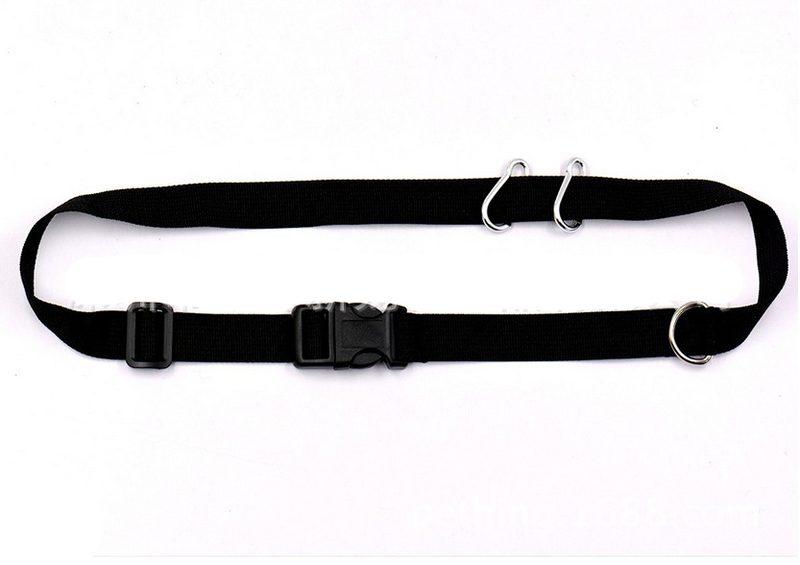 Dog Training Pouch Black 3646901 Carousel 2