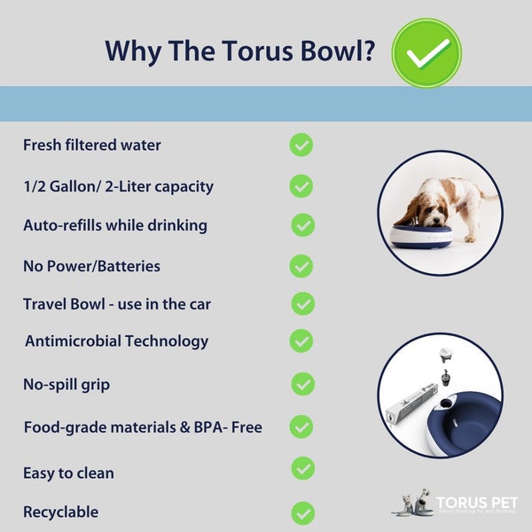 TORUS™ DOG WATER BOWL 1 LITRE BLUE Carousel 7