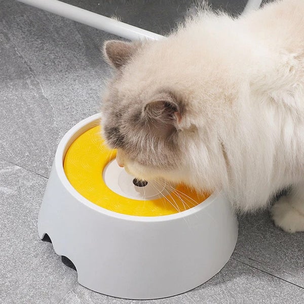 Pet Dog Cat Water feeder drinking Bowl with floating plate Carousel 11
