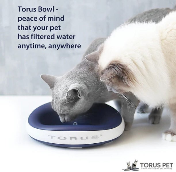 TORUS™ CAT WATER BOWL 1 LITRE BLUE Carousel 1