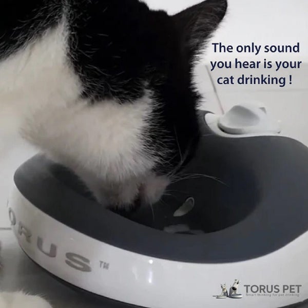 TORUS™ CAT WATER BOWL 1 LITRE CHARCOAL Carousel 1