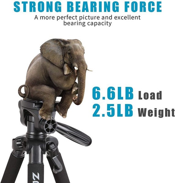 Camera Tripod 2023703 Carousel 19