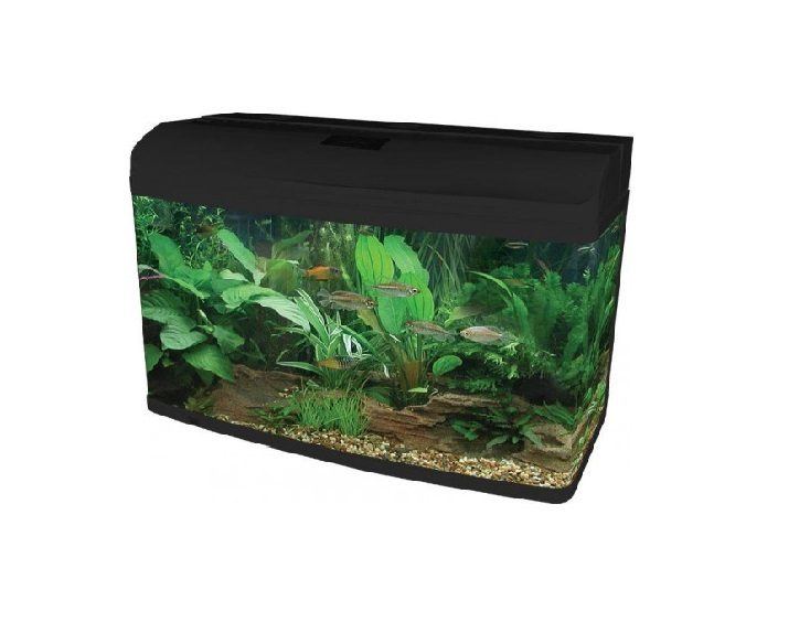 Aqua One AR980 tank Gloss Black Carousel 1