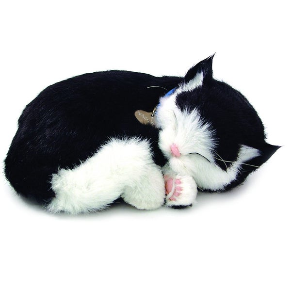 Perfect Petzzz - Black & White Kitten Bundle Carousel 1