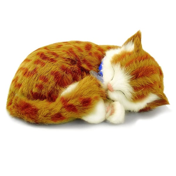 Perfect Petzzz - Orange Tabby Bundle Carousel 1