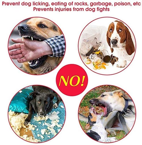 Dog Muzzle Dog Muzzles XL I1205BK4 Carousel 10