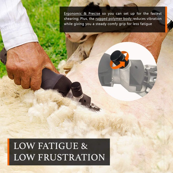 Sheep Shear Carousel 2