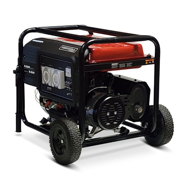 Zongshen MB9000E-A 8500 Watt Generator Carousel 8