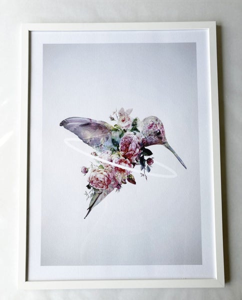 Kolibri by Daniel Taylor A2 Art Print Framed (White) Carousel 1