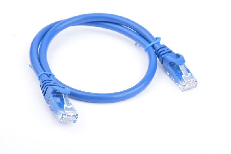 Cat 6a UTP Ethernet Cable, Snagless - Blue Carousel 1