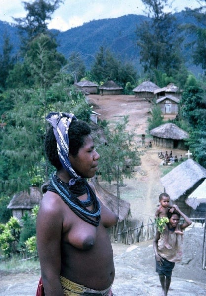 CANNIBALS, CROCODILES & CASSOWARIES. Adventures of a NZ forester in New Guinea64549775694722113