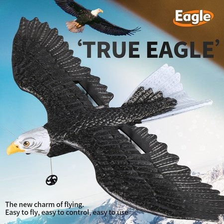 Eagle Aircraft for Children, Radio Control, Glider, Gift Toys for Boys Carousel 2