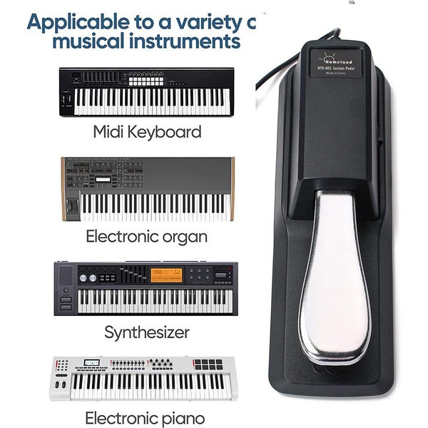 Universal Piano Keyboard Sustain Foot Pedal Carousel 2