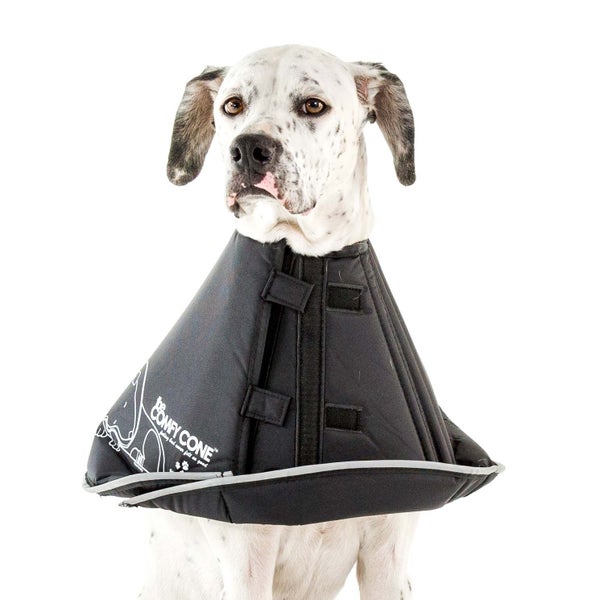 COMFY CONE XX LARGE NECK TO SNOUT 36.5CM / NECK 55CM TO 70CM Carousel 2