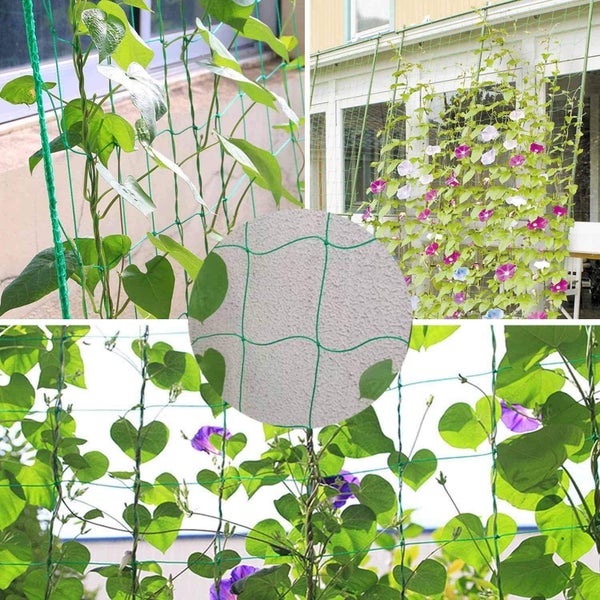 Mesh Strand Gardening Net Flower Vegetable Morning Glory Vine