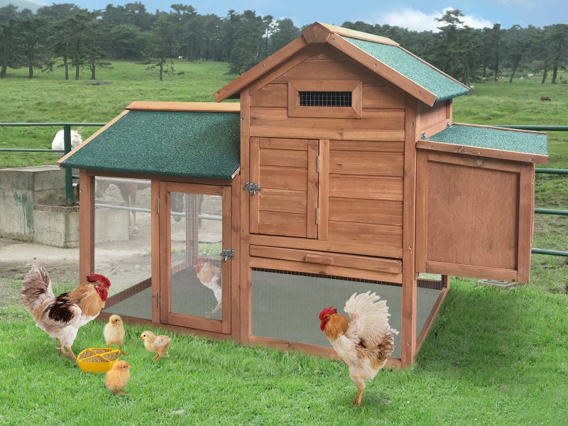 Chicken Coop Carousel 1