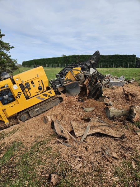 Apex Stump-grinding, local and affordable Carousel 1