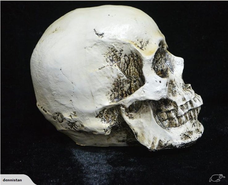 Skull Head Human Resin Skeleton 2013701 Carousel 5