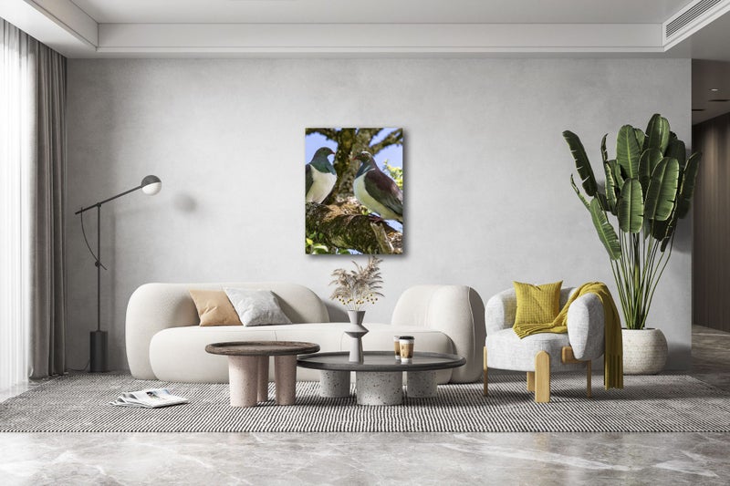 Rokit Wall Art. Pair of Wood Pigeons (Kereru) Giclee Canvas Print Carousel 1