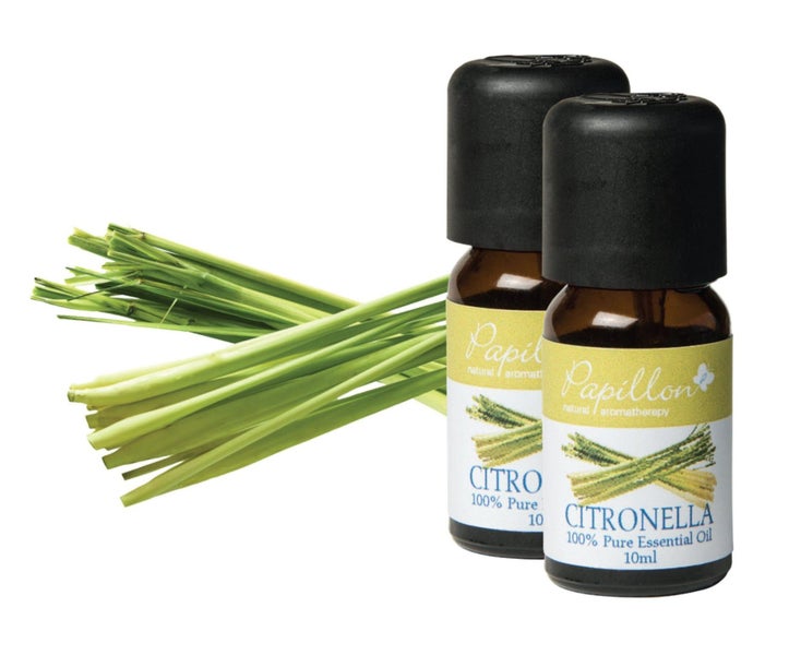 Essential Oil 2 Pack Citronella Carousel 3