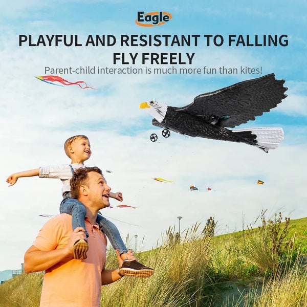 Remote Foam Plane Carousel 2