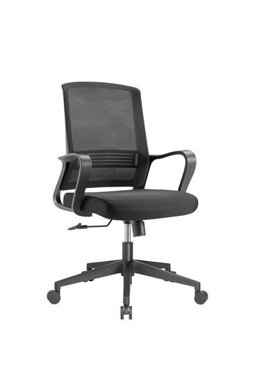 BRATECK Premium Office Chair with Superior Lumbar Support. Ergonomic with Breath Carousel 1