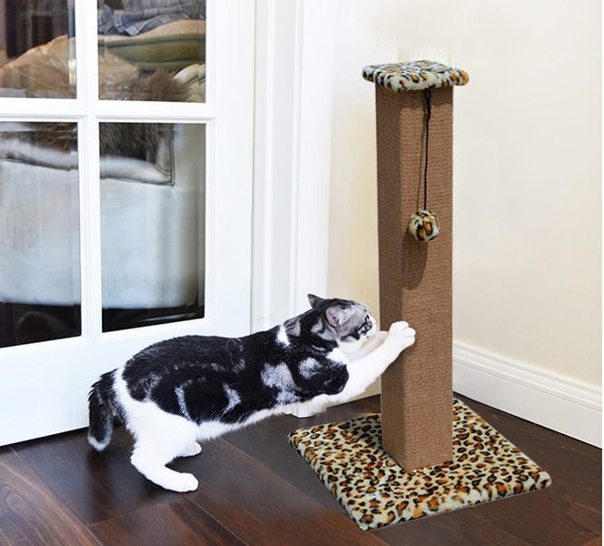 PTN NEW Cat Scratcher Sale Sale Carousel 4