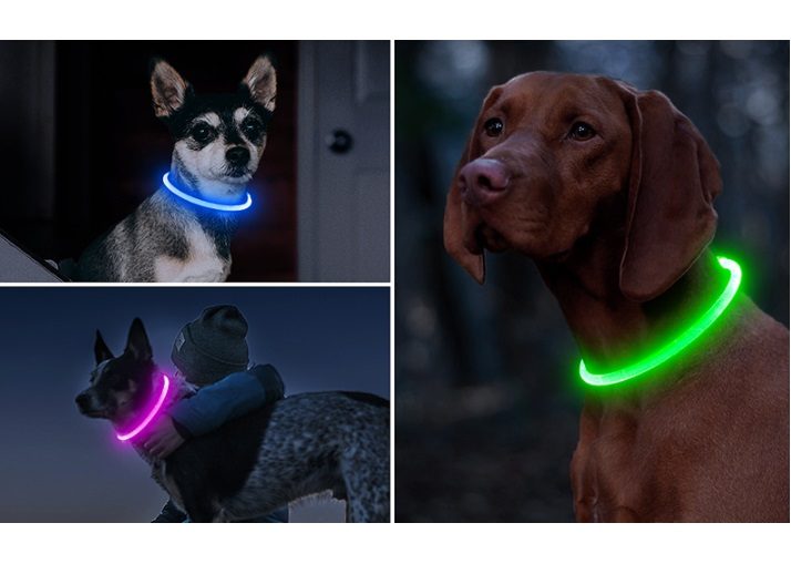 LED Illuminating Pet Dog Collar 70cm - Rechargeable, USB, Funky, Party Collar! Carousel 1