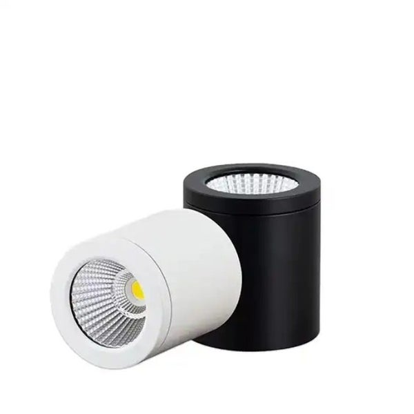 Downlight Carousel 1