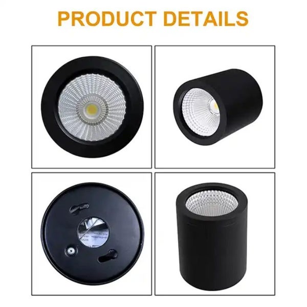 Downlight Carousel 2