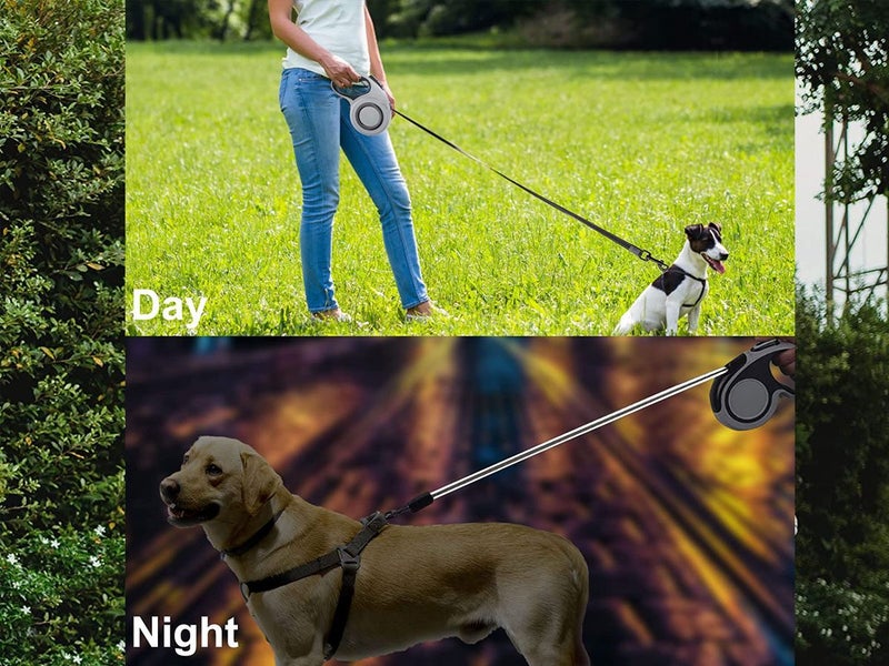 Dog Leash 8M Local NZ Clearance Carousel 2