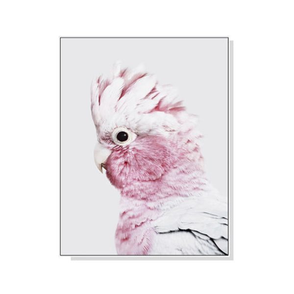 Pink Galah White Frame Canvas Wall Art Carousel 1