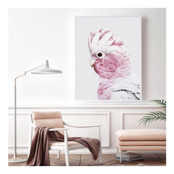Pink Galah White Frame Canvas Wall Art Carousel 2