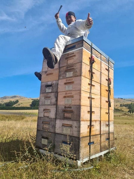 Natural NZ Honey Carousel 2