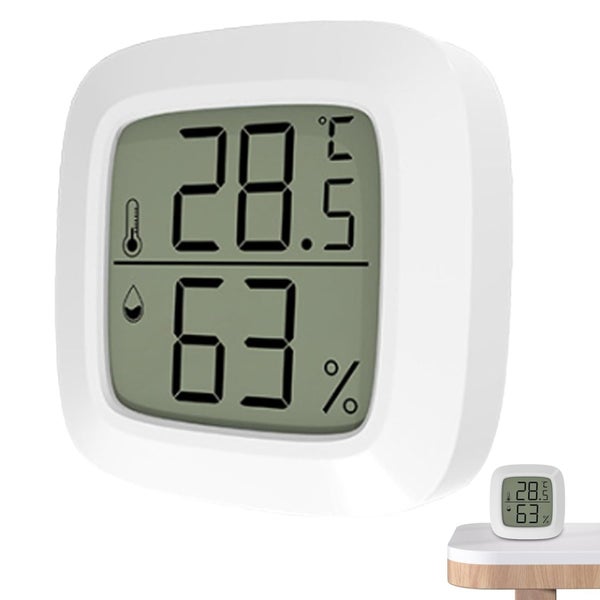 Thermometer Hygrometer Carousel 1