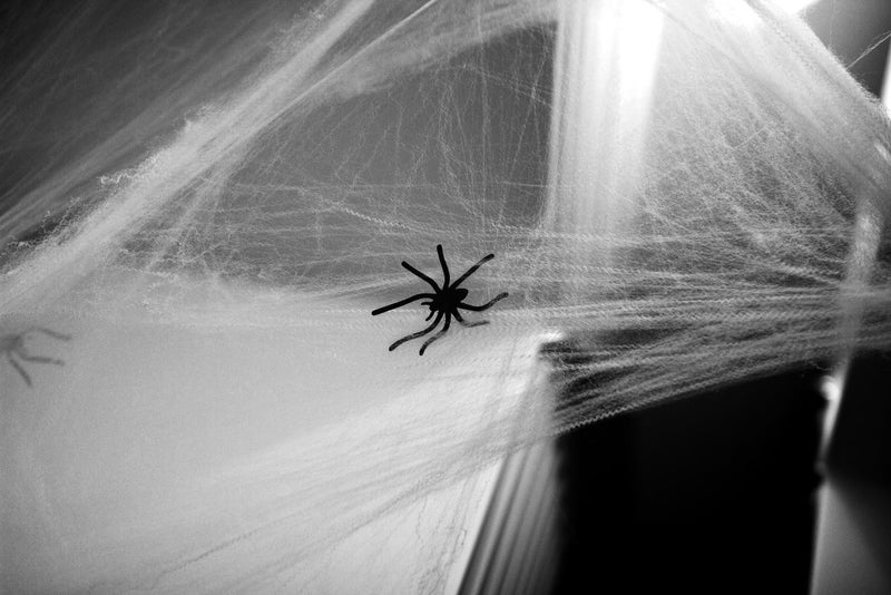 Stretchable Spider Webs Carousel 3