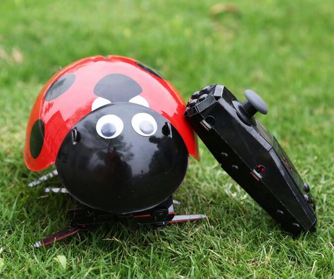Crazy RC Lady Bug Carousel 1