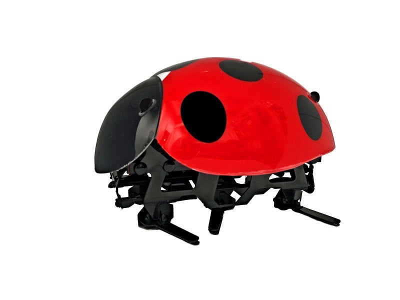 Crazy RC Lady Bug Carousel 4