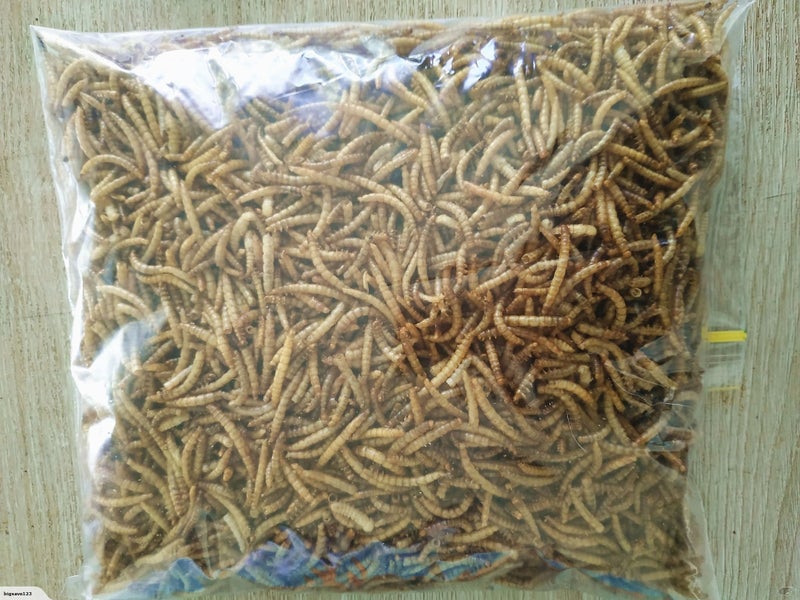 Dried Mealworms 250 grams Carousel 1