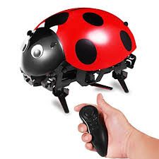 Crazy RC Lady Bug Carousel 2