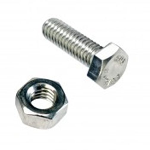 Champion M10 x 25mm Stainless Set Screw 304/A2 -6pk Carousel 1