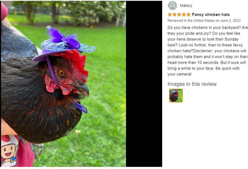 Poultry Cute Chicken Hens Hats 3Pcs *Local Buy* Carousel 2