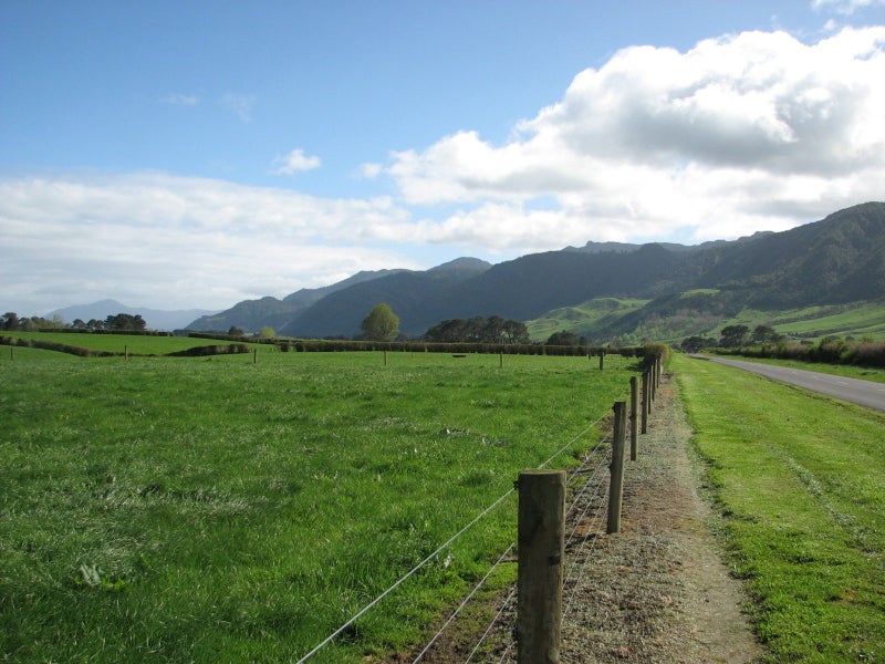 Image 1 of 19