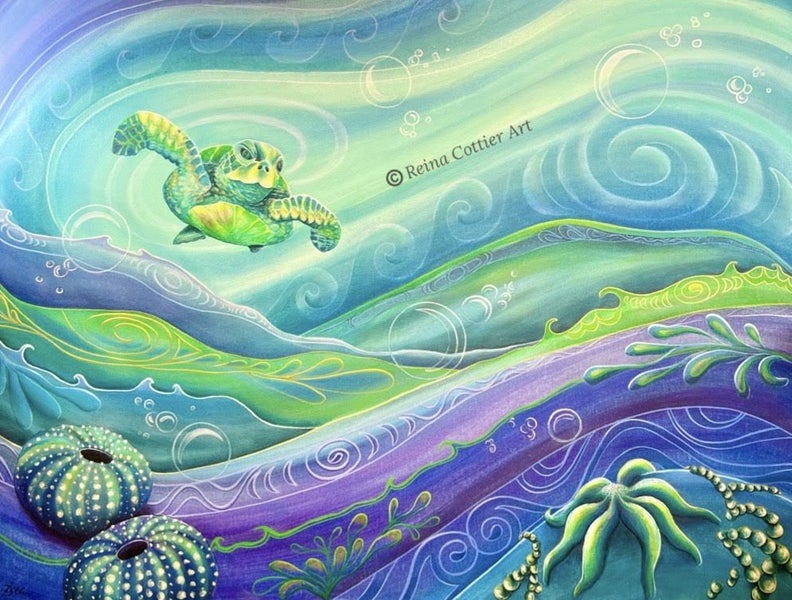 NZ ART-Sea Turtle, Kina, Starfish Photocard print by Reina Cottier Carousel 1