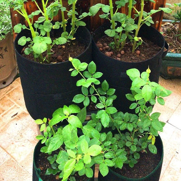 3-piece Plant Bag Non-woven Fabric Plant Bag Potato Bag Plant Bag For Potatoes V Carousel 2