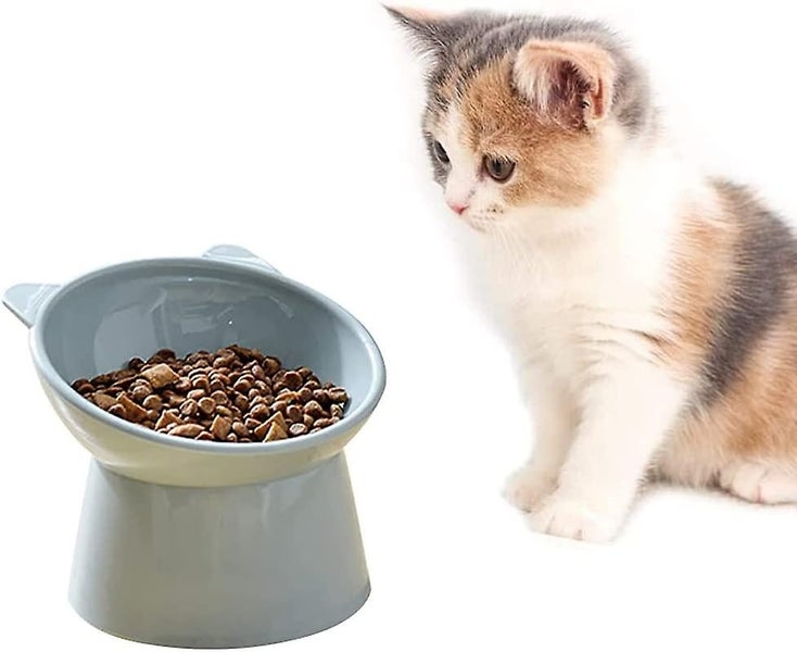 Non-slip Food And Water Bowl For Small Dog Flat Face Cat (blue + Blue) - Elevate Carousel 5